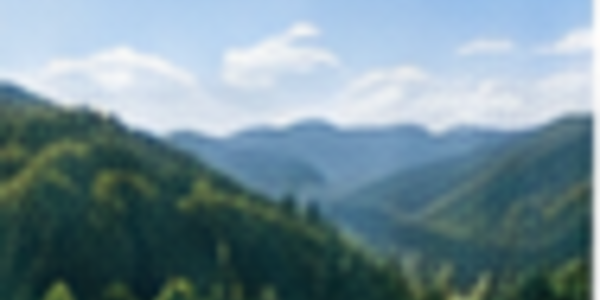 地域の山林