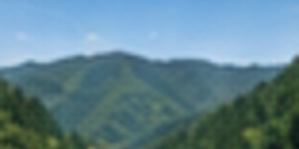 山の斜面と森林